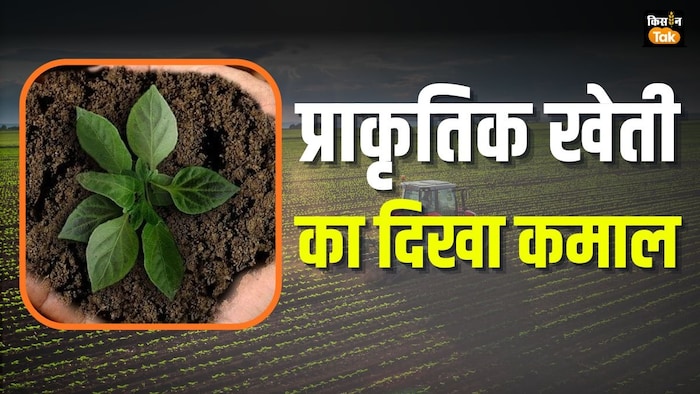 प्राकृतिक खेती का कमाल