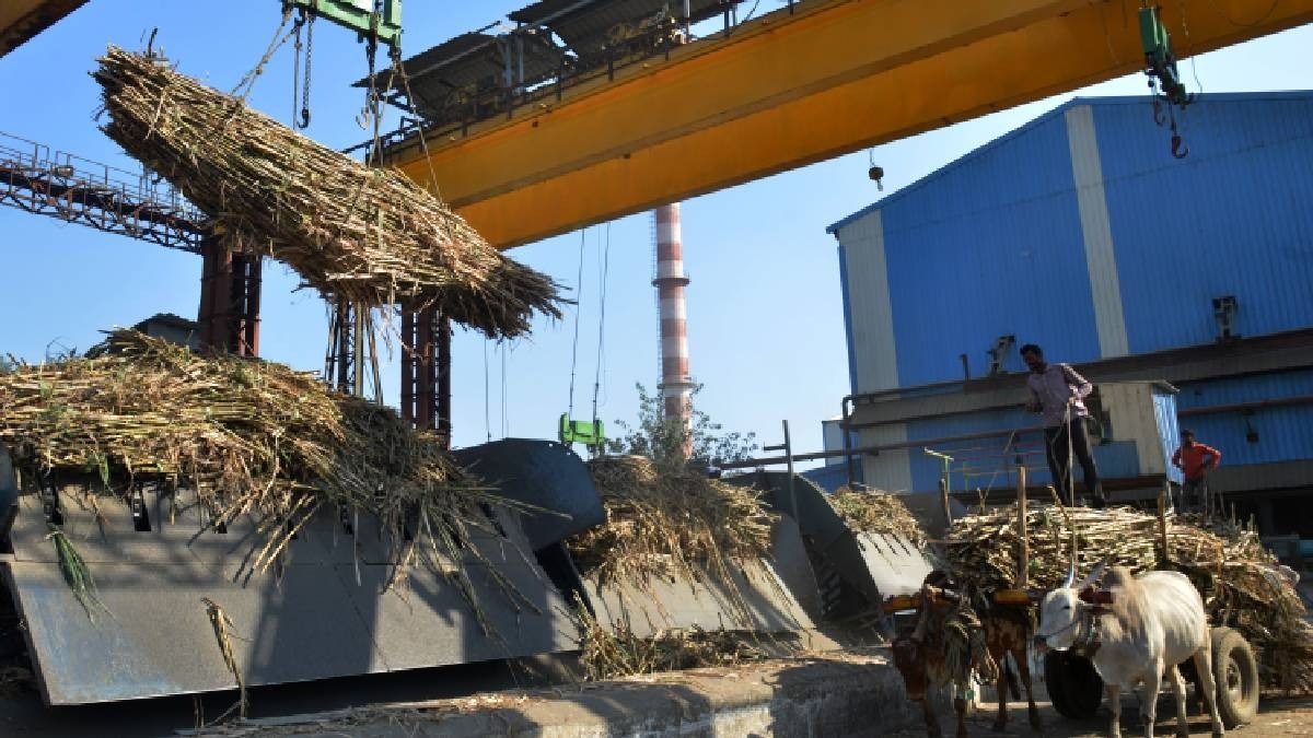 Sugar Production: चीनी उत्पादन 41.08 लाख टन पहुंचा, ISMA ने MSP बढ़ाने की मांग दोहराई
