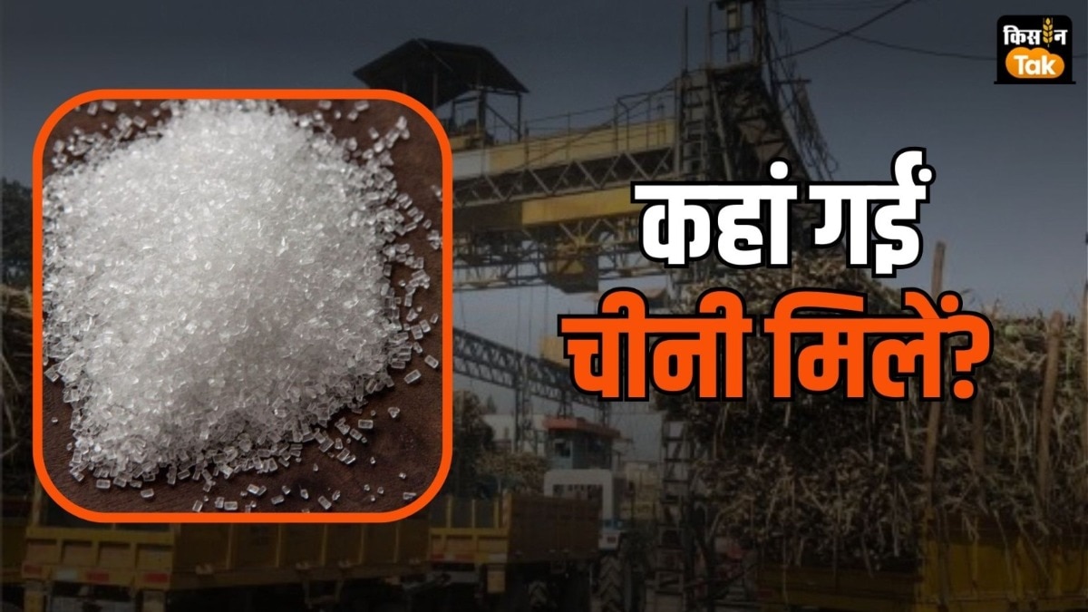 चीनी उत्पादन में 40 फीसदी हिस्सेदारी वाला बिहार कैसे स‍िर्फ 9 शुगर मिलों तक सिमटा, पढ़‍िए पूरी कहानी