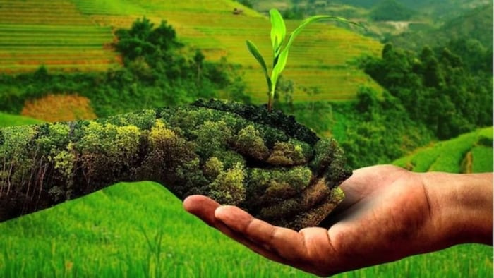 प्राकृतिक खेती की बड़ी पहल