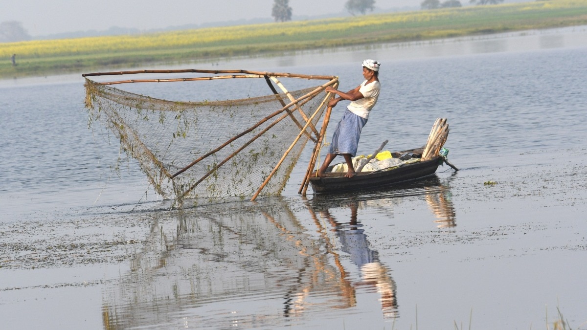 Fish Care in Winter: ठंड में मछलियों के तालाब में कम होने लगती है आक्सीजन, ऐसे बढ़ाएं लेवल 