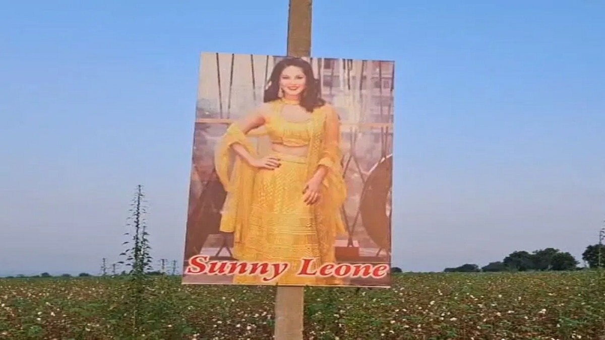 Farmers Are Banking On Sunny Leone Posters  (Photo: ITG)