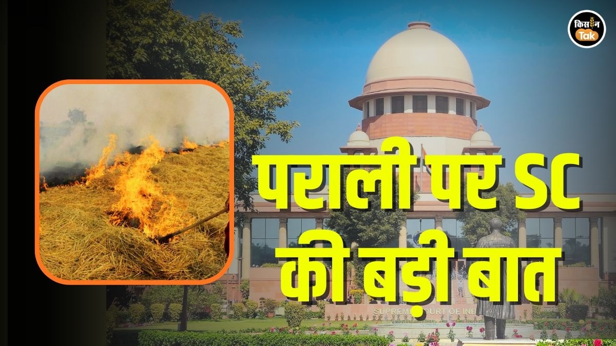 सुप्रीम कोर्ट का पराली पर सख्‍त रुख 