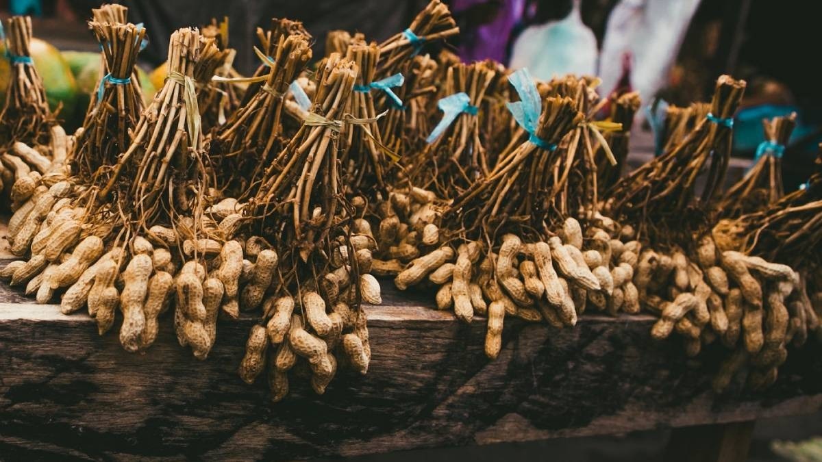 महाराष्‍ट्र में बेमौसमी बारिश का कहर (प्रतीकात्‍मक तस्‍वीर)