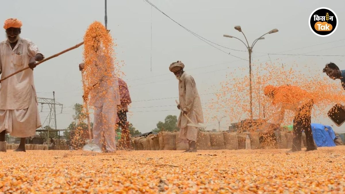 Kharif Production Estimate Data Row