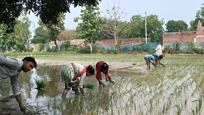 जालौन में जल क्रांति से सुधरा किसानों का भविष्य