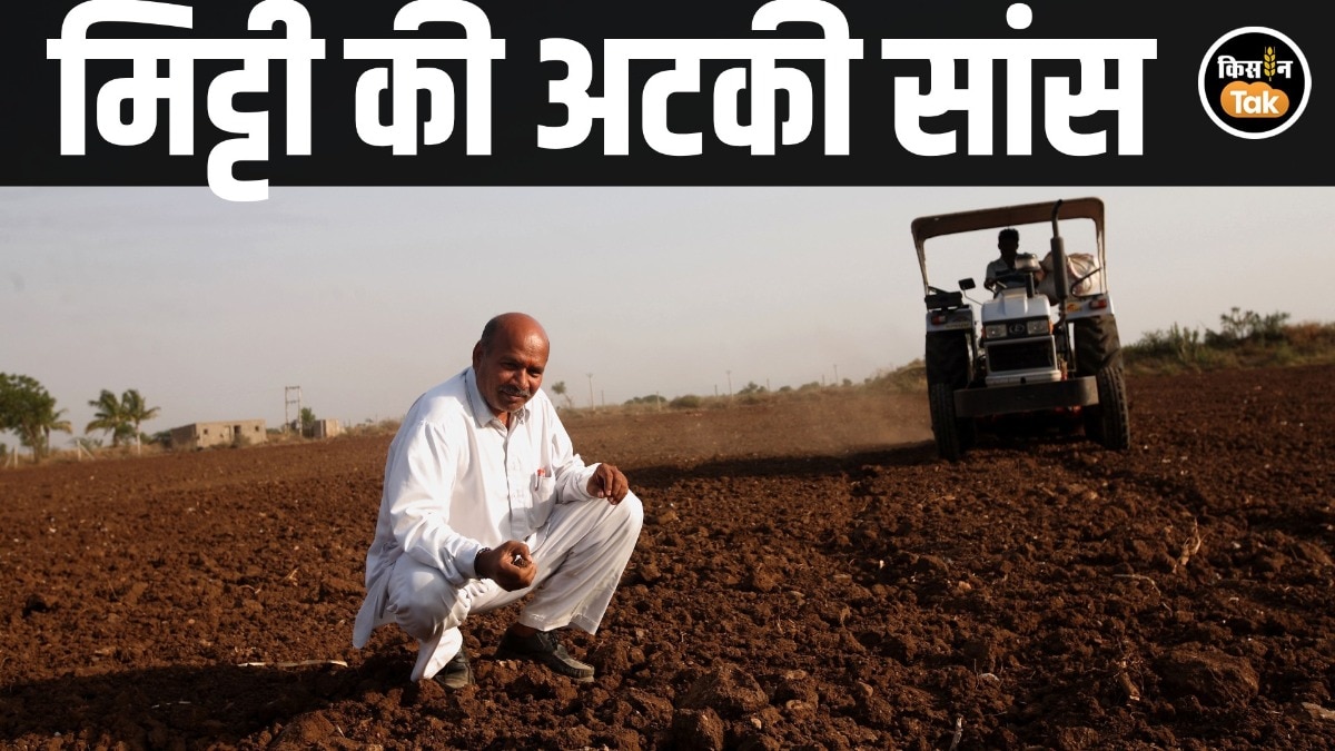 World Soil Day: 'वेंटिलेटर' पर भारत की मिट्टी, पैदावार तो बढ़ी, पर खेत की 'जान' निकल गई