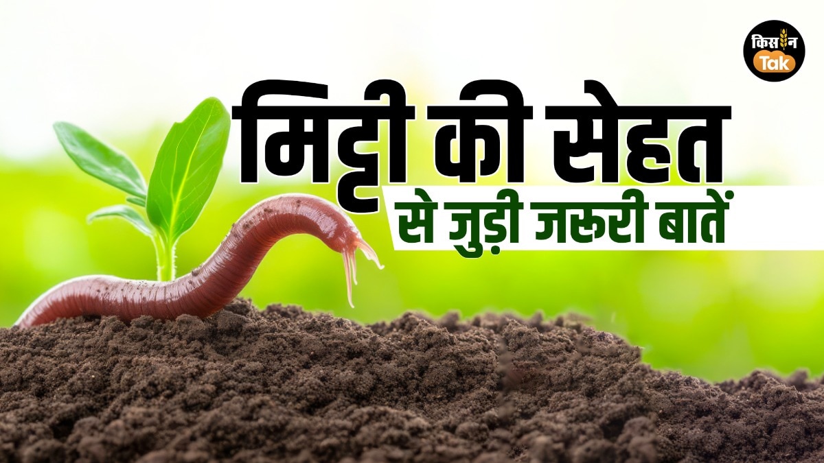 World Soil Day Mitti Ki Sehat