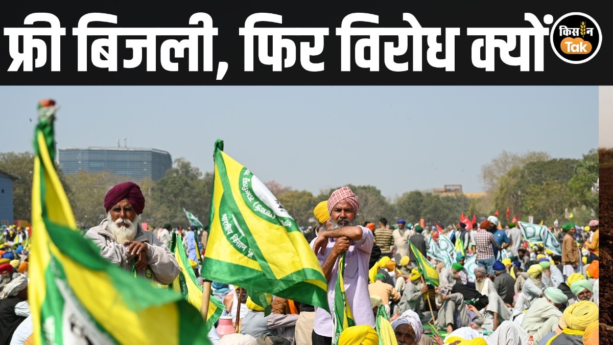 Farmers Protest: पंजाब में फ्री बिजली के बावजूद किसान क्यों उतरे विरोध में, क्या है असली वजह?
