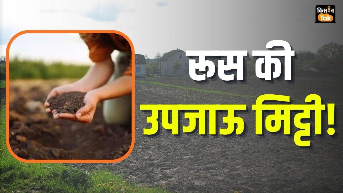 दुनिया की सबसे उपजाऊ मिट्टी में से एक है रूस की ये मिट्टी, लहलहा उठती हैं फसलें