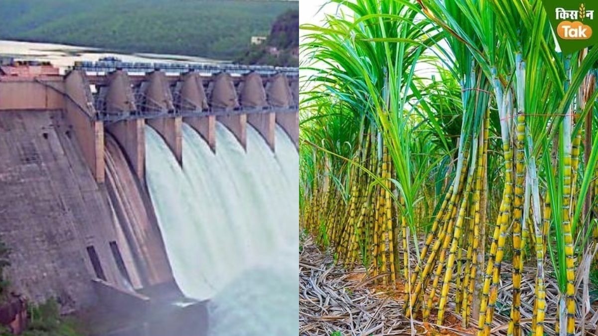 1700 करोड़ के सिंचाई कामों की घोषणा