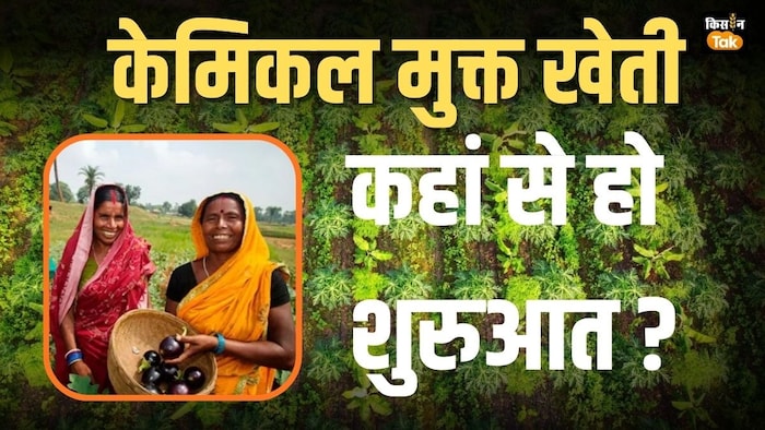 chemical free farming