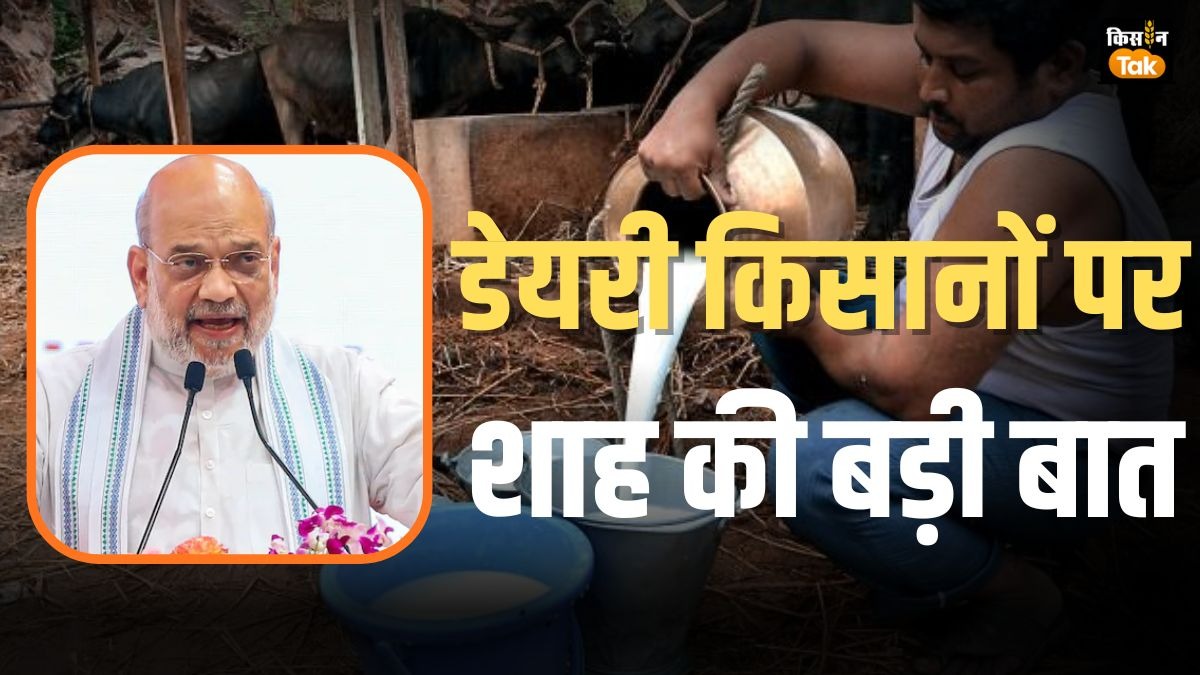Amit Shah on Dairy Farmers
