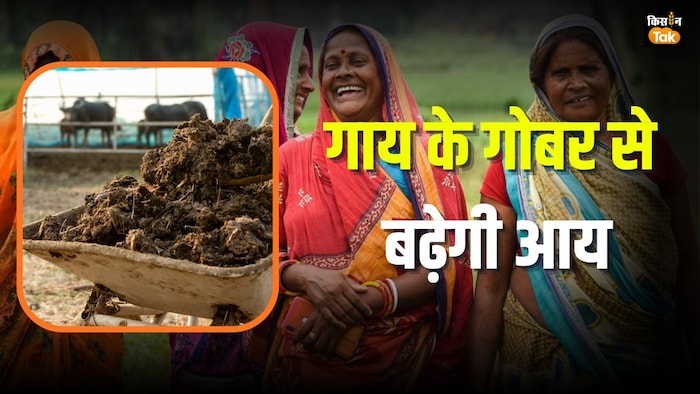 गोबर से बढ़ेगी किसानों की आय