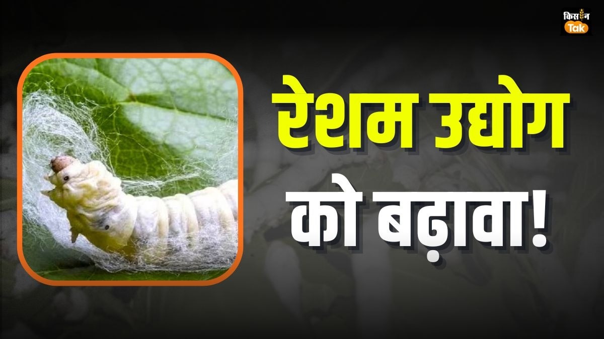 सिल्क सेक्टर को बढ़ावा