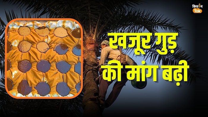 बढ़ी खजूर गुड़ की मांग