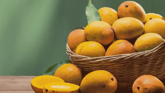 हापुस की असली पहचान पर सवाल