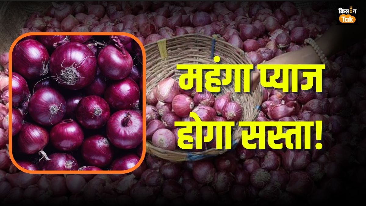 प्याज संकट पर सरकार की पहल