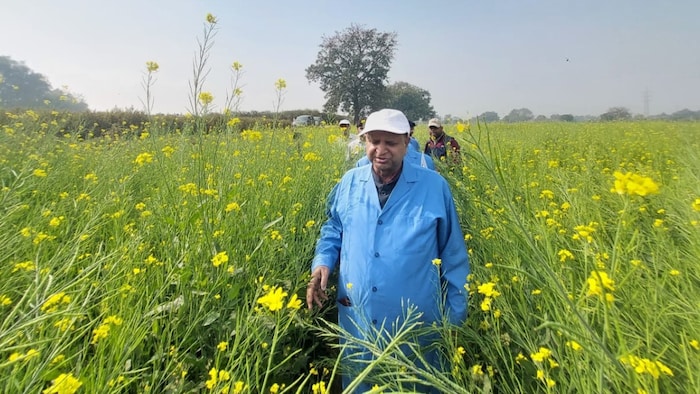 चंद्रशेखर आजाद कृषि विश्वविद्यालय, कानपुर में तिलहन अनुभाग के प्रोफेसर डॉ. महक सिंह