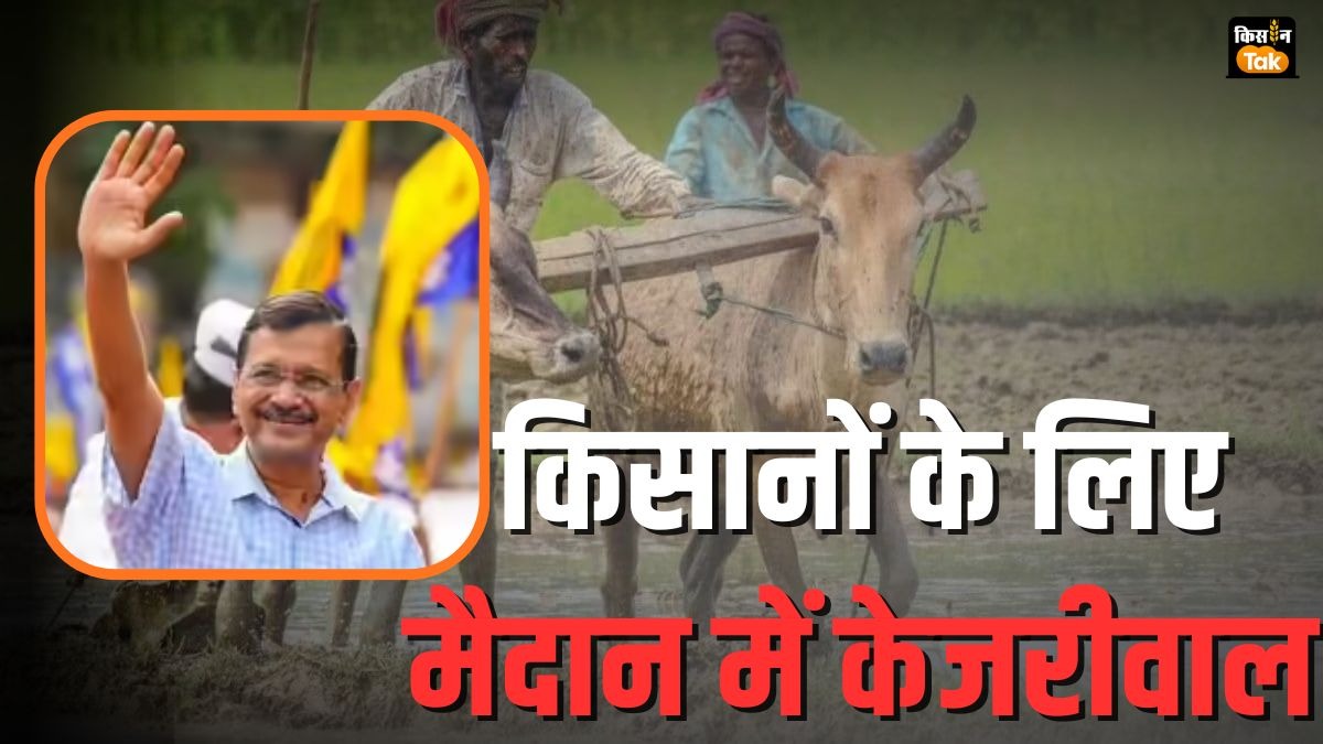 अब किसानों के लिए AAP का हल्ला बोल, मुआवजे के लिए बड़ा आंदोलन शुरू, जानें पूरी बात