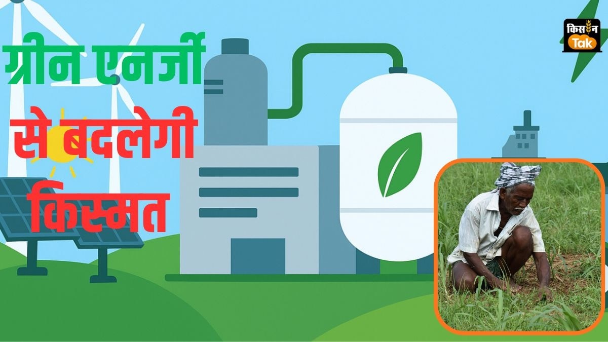 Clean Fertilizer: क्‍या है ग्रीन अमोनिया... जिससे बदलेगी किसानों की किस्‍मत, बढ़ेगी उनकी इनकम, जानें