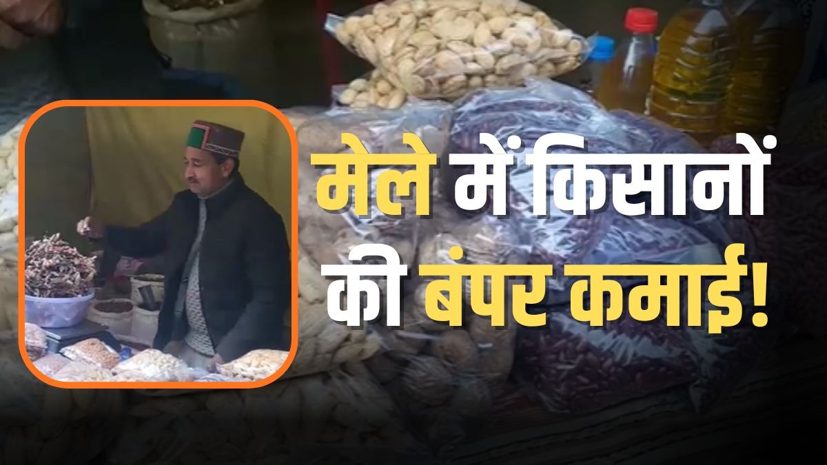 हिमाचल के लवी मेले में किसानों की बल्ले-बल्ले, सेब और सूखे मेवों से हुई बंपर कमाई