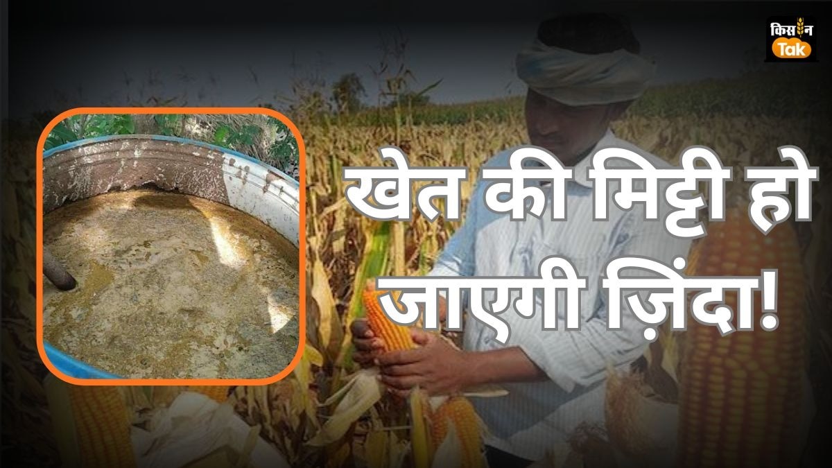 सिर्फ 4 दिन में तैयार करें ये शानदार घोल: फसल होगी दोगुनी, खर्च होगा आधा