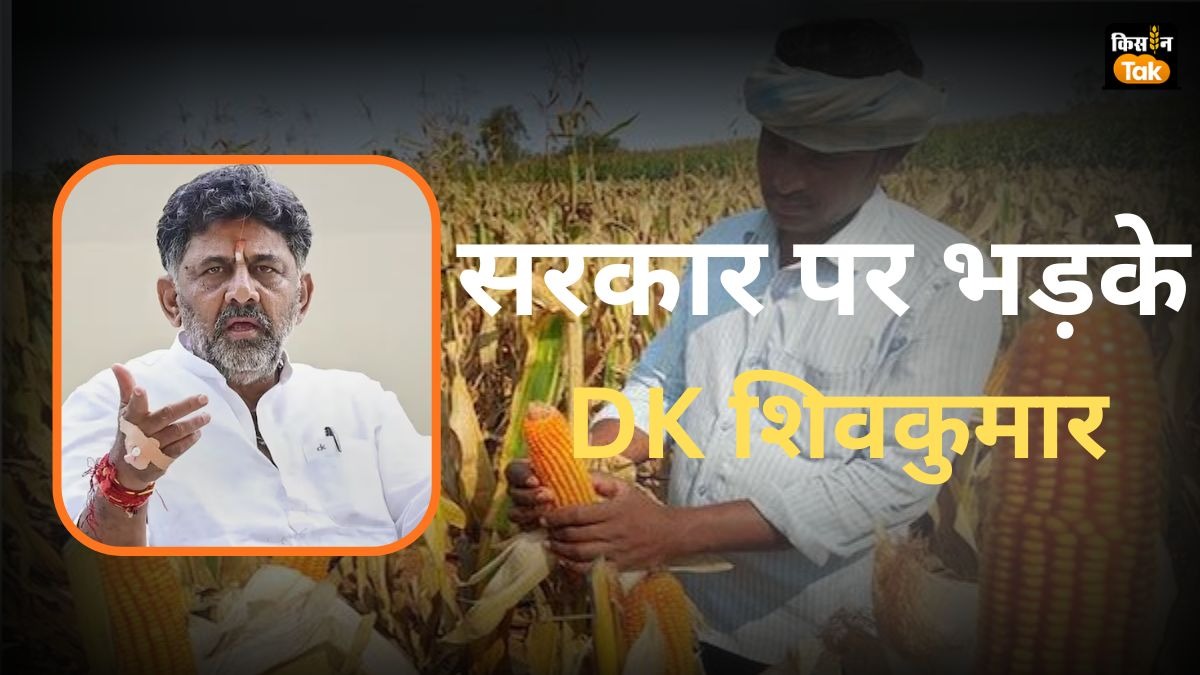 डीके शिवकुमार