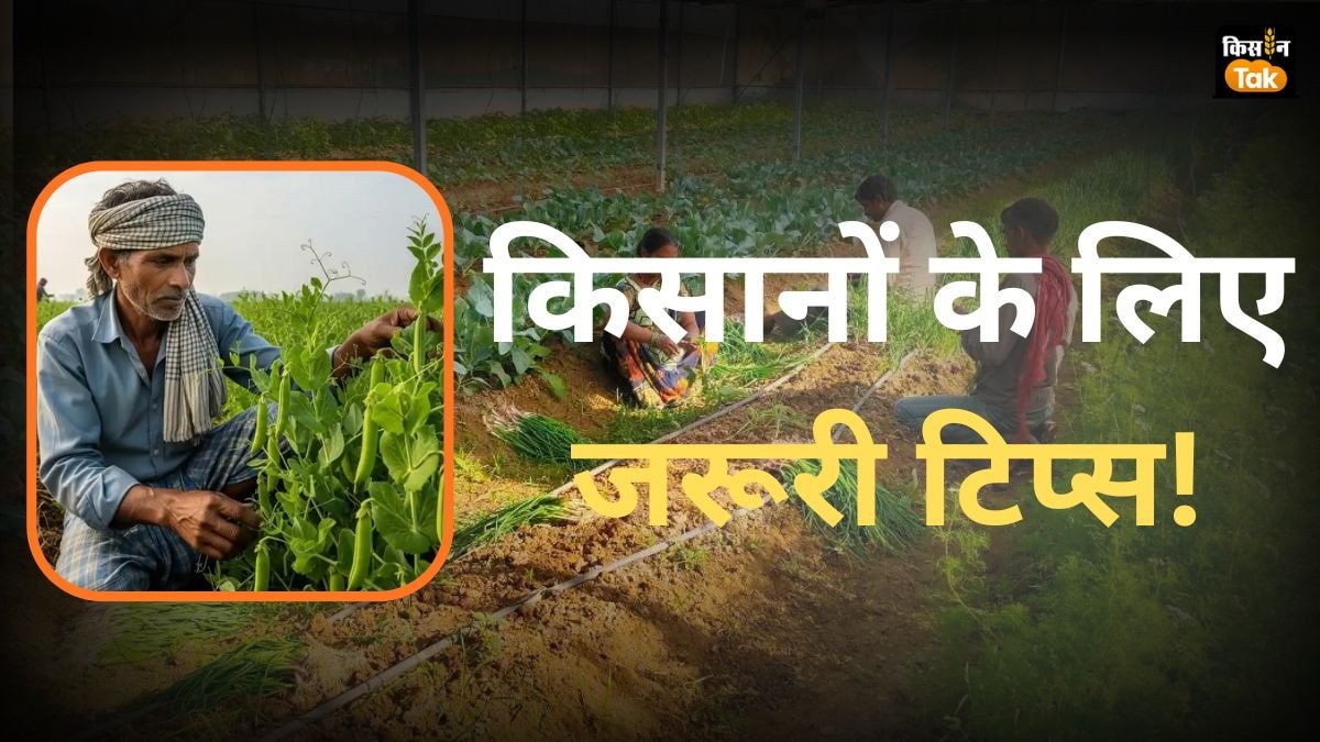 दिसंबर महीने का कृषि कार्य