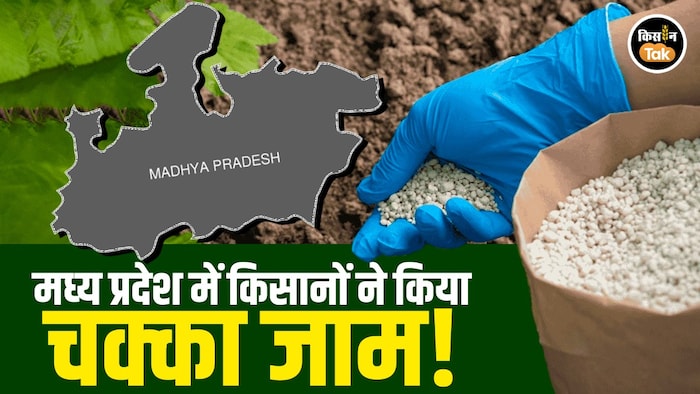 Madhya Pradesh Urea Crisis