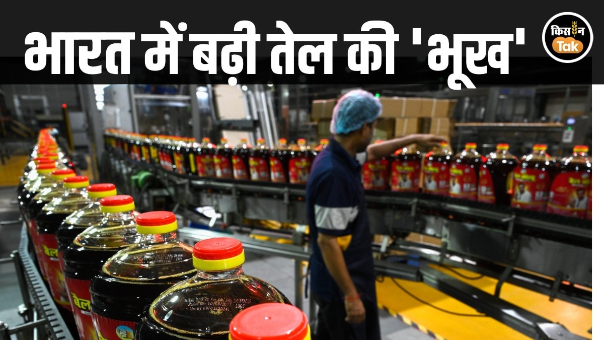 edible oil consumption