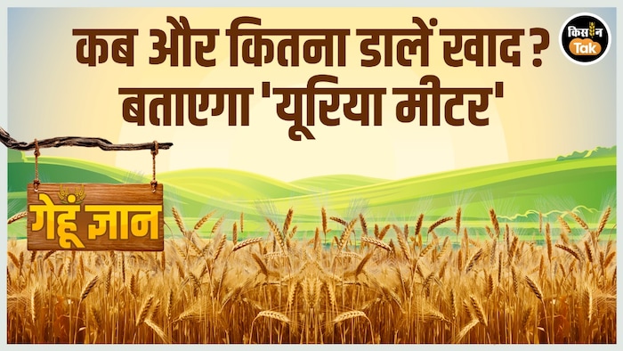 Gehu Gyan Urea Meter