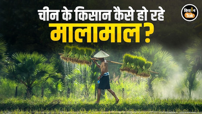 China Farmers Agriculture