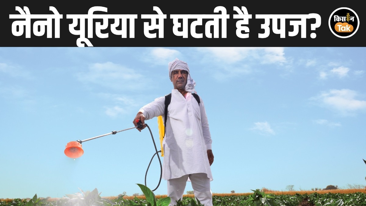 Nano Urea पर विवाद: बेनीवाल ने सरकार से मांगा जवाब, रिसर्च में उपज और प्रोटीन घटने के संकेत