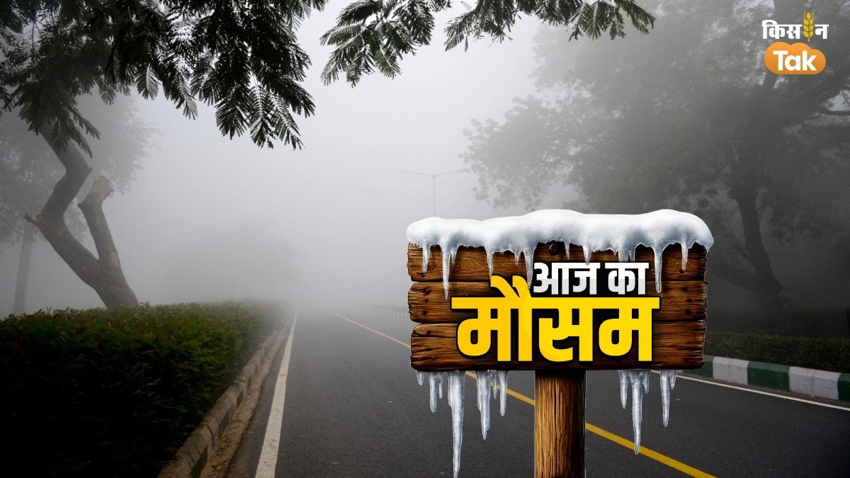 कई राज्‍यों में 5 दिन से शीतलहर का प्रकोप, घने कोहरे ने भी बढ़ाई समस्‍या, जानें आज कैसा रहेगा मौसम