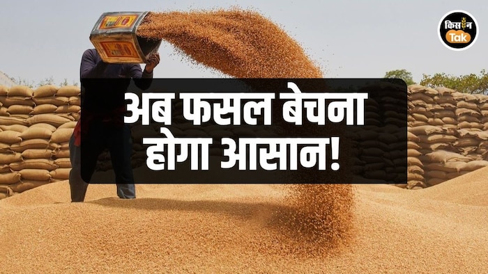 झारखंड सरकार का बड़ा फैसला