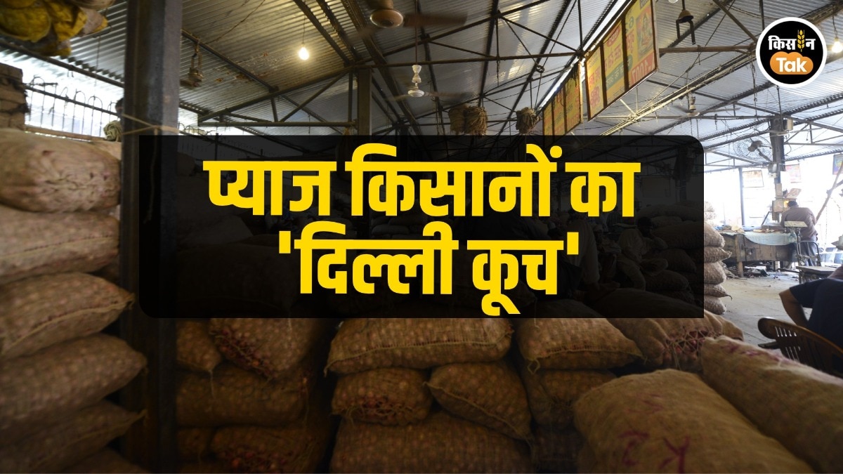 Onion Price: नासिक के प्याज किसानों को अब तक नहीं मिला 100 करोड़ का भुगतान, गुस्से में दिल्ली पहुंचे किसान