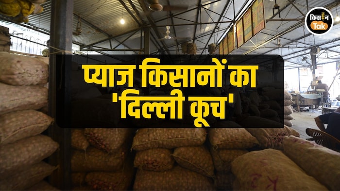 onion farmer protest