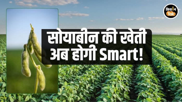 सोयाबीन ज्ञान ऐप