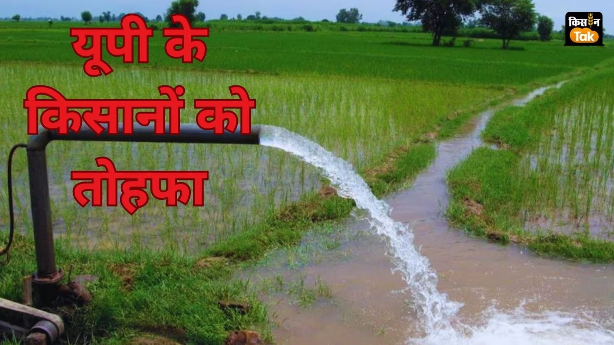 किसानों को 60 फीसदी सब्सिडी पर Solar Pump दे रही है यूपी सरकार, जल्‍द करें अप्‍लाई 