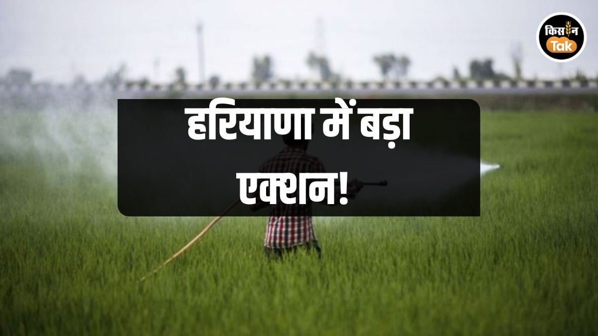 Haryana में किसानों को जबरन बेचे उर्वरक, अब सरकार ने कंपनी पर बड़ी कार्रवाई, जानें सारा मामला 