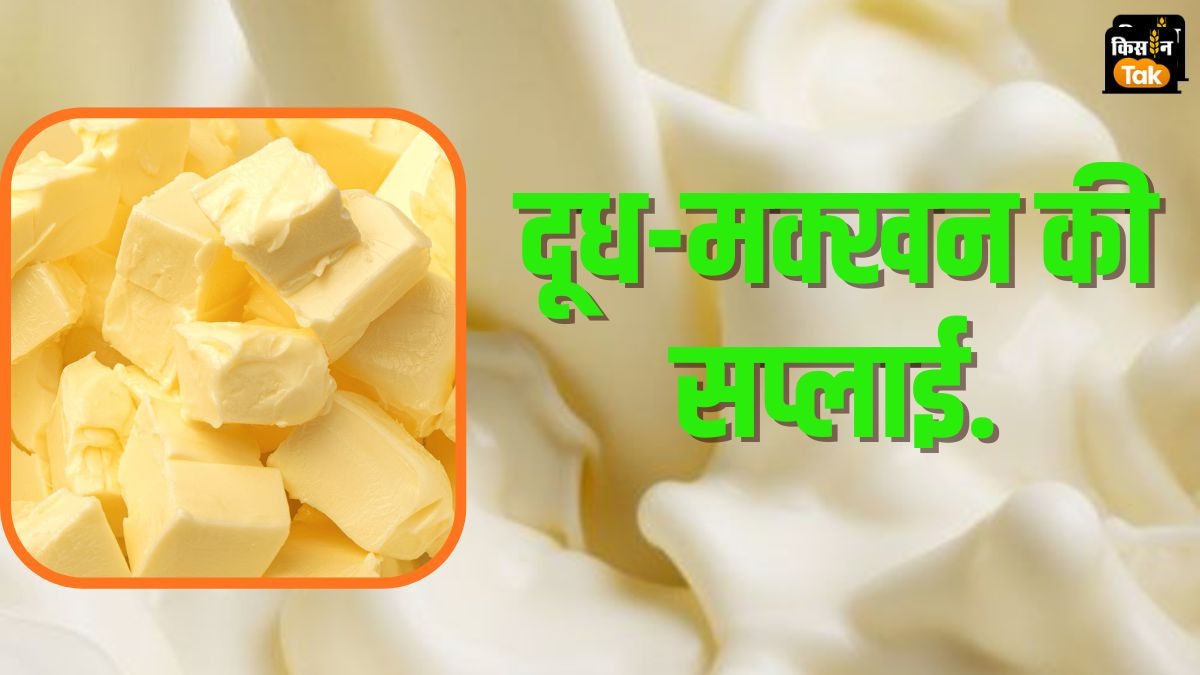Dairy Emergency: जानिए देश को इमरजेंसी में कितने दूध और मक्खन की होती है जरूरत, पढ़ें डिटेल  