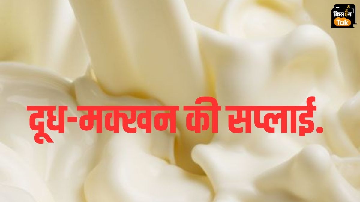 Dairy Emergency: जानिए देश को इमरजेंसी में कितने दूध और मक्खन की होती है जरूरत, पढ़ें डिटेल  