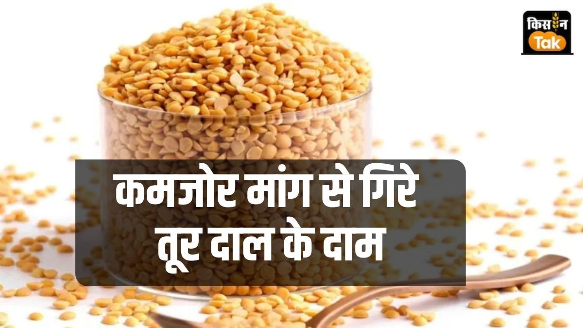 Toor Dal Price Down