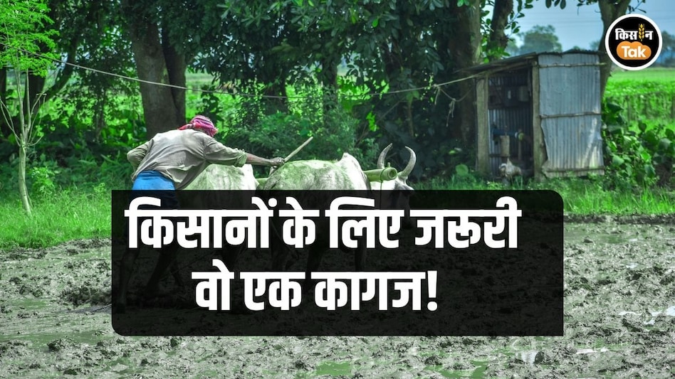 इस Document के बिना किसान नहीं उठा सकते सरकारी योजना का फायदा, जानें कौन सा इस Document के बिना किसान नहीं उठा सकते सरकारी योजना का फायदा, जानें कौन सा