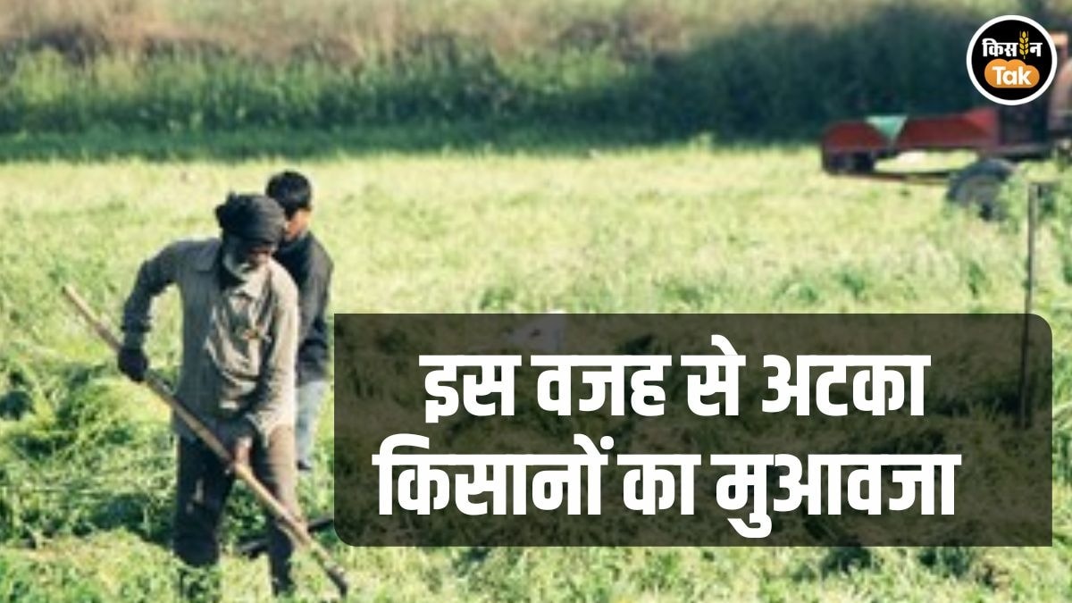 Farmer Compensation Karnatka