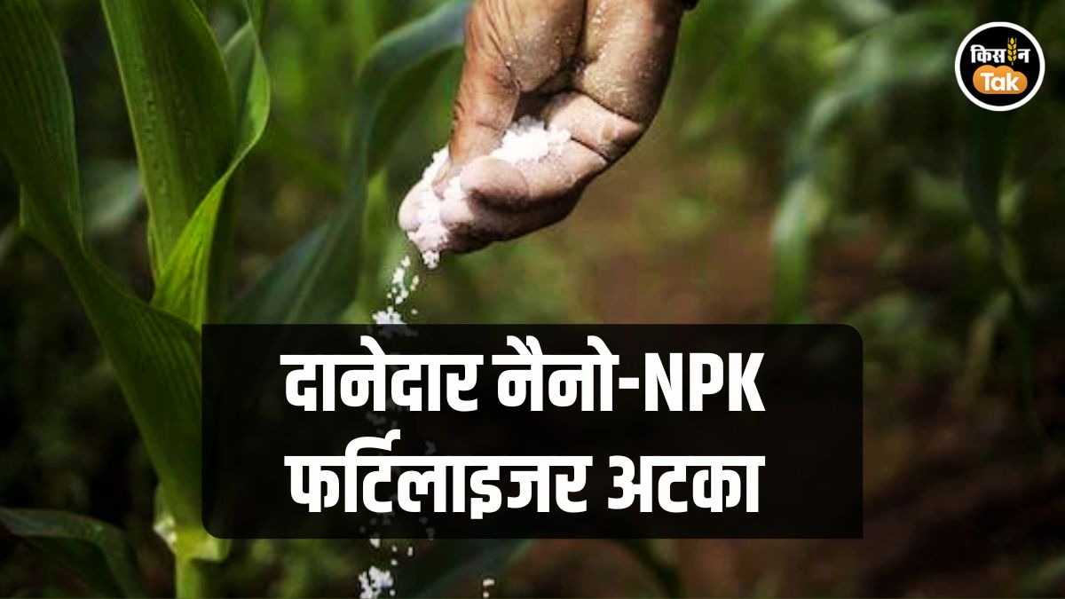 NPK Fertilizer