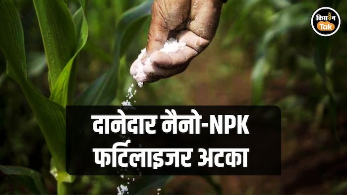 NPK Fertilizer