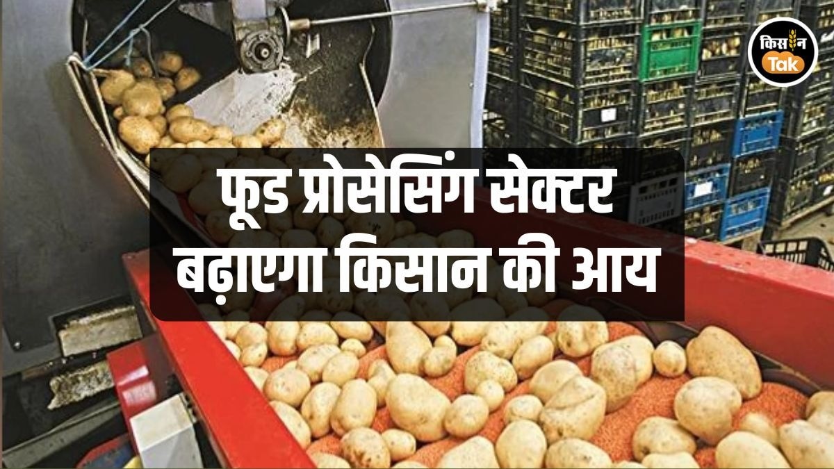 Food Processing Industry