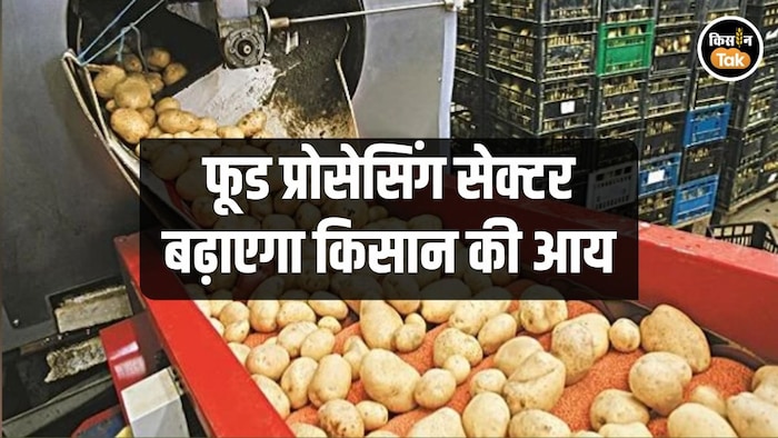 Food Processing Industry